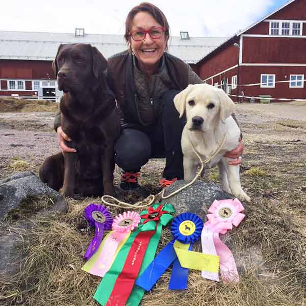 Uppfödaren och hennes två labbar och med vunna priser